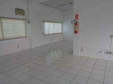 Botucatu Centro Estabelecimento Locacao R$ 3.000,00 
