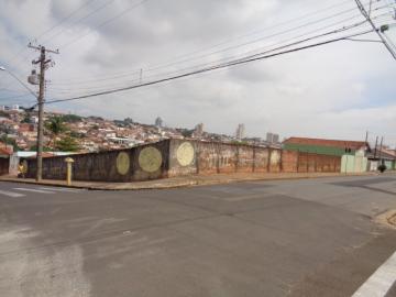 Botucatu Vila Cidade Jardim Terreno Locacao R$ 800,00  Area do terreno 900.00m2 