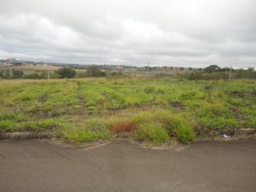 Botucatu Residencial Plaza Martin Terreno Venda R$100.000,00  Area do terreno 263.20m2 