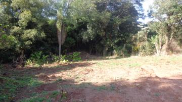 Botucatu Vila Silvinha Terreno Venda R$400.000,00  Area do terreno 1210.00m2 