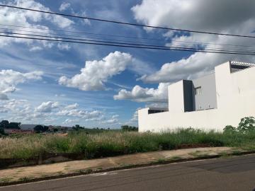 Botucatu Jardim Paraiso Terreno Venda R$140.000,00  Area do terreno 252.00m2 