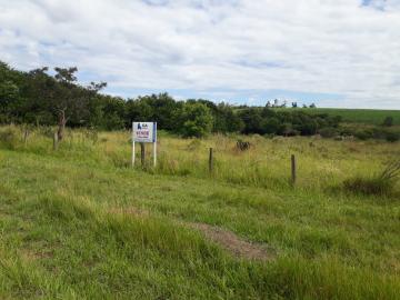 Botucatu Rod. Gastao Dal Farra Terreno Venda R$3.200.000,00  Area do terreno 20742.00m2 