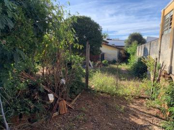 Botucatu Centro Terreno Venda R$650.000,00  Area do terreno 622.00m2 