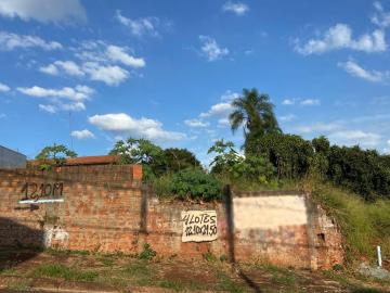 Botucatu Boa Vista Terreno Venda R$130.000,00  Area do terreno 260.00m2 
