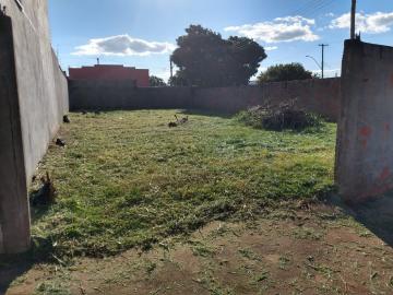 Botucatu Jardim Itamarati Terreno Locacao R$ 1.200,00  Area do terreno 261.74m2 