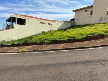Botucatu Jardim Paraiso Terreno Venda R$250.000,00  Area do terreno 386.64m2 