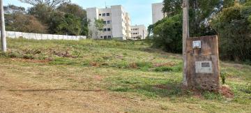 Botucatu Chacara Floresta Terreno Venda R$150.000,00  Area do terreno 431.20m2 