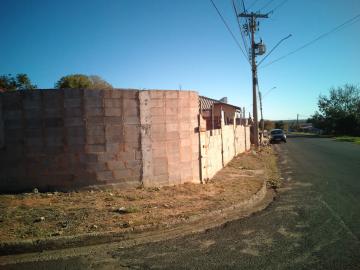 Botucatu Jardim Riviera Terreno Venda R$175.000,00  Area do terreno 250.00m2 