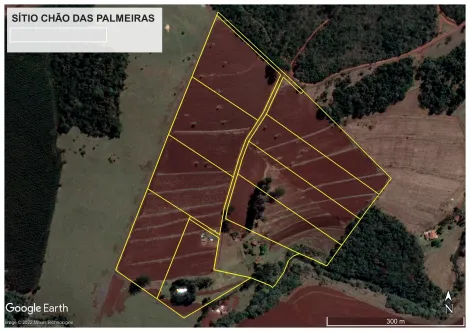 Botucatu Botucatu Rural Venda R$532.000,00  Area do terreno 20000.00m2 