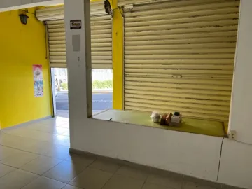 Botucatu Centro Estabelecimento Locacao R$ 4.500,00 Area construida 77.11m2