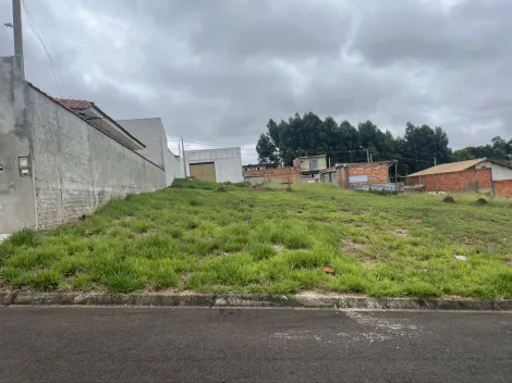 Botucatu Livia Terreno Venda R$100.000,00  Area do terreno 250.00m2 