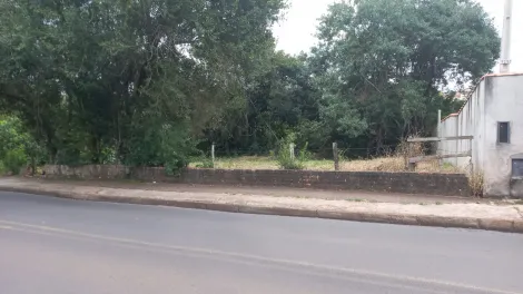 Botucatu Vila Sao Lucio Terreno Venda R$120.000,00  Area do terreno 250.00m2 