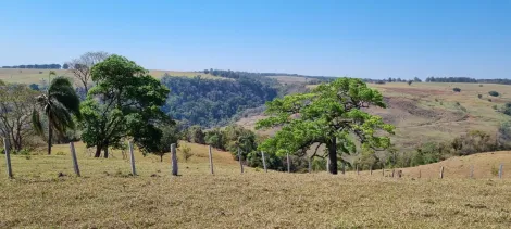 Botucatu Vale do Aracatu Rural Venda R$975.000,00  Area do terreno 53000.00m2 