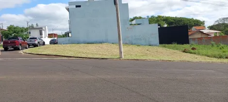 Botucatu Jardim Regina Terreno Locacao R$ 2.500,00  Area do terreno 312.30m2 