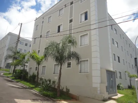 Botucatu Vila Cidade Jardim Apartamento Locacao R$ 1.300,00 Condominio R$320,00 2 Dormitorios 1 Vaga 