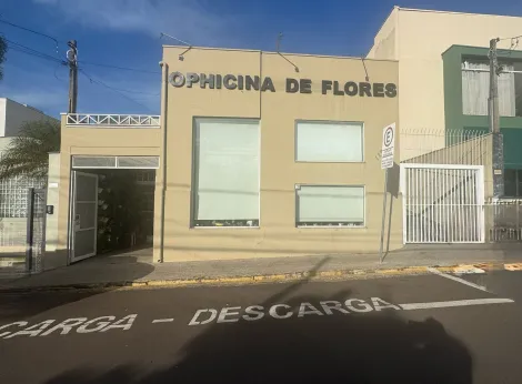 Botucatu Centro Comercial Venda R$700.000,00  3 Vagas Area do terreno 199.52m2 