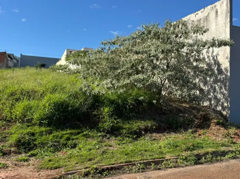 Botucatu Jardim ReginaA  Terreno Venda R$195.000,00  Area do terreno 290.00m2 
