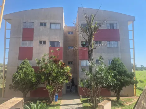 Botucatu Rubiao Junior Apartamento Locacao R$ 1.300,00 Condominio R$504,42 1 Dormitorio 1 Vaga 