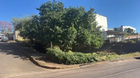 Botucatu Centro Terreno Venda R$490.000,00  Area do terreno 488.25m2 