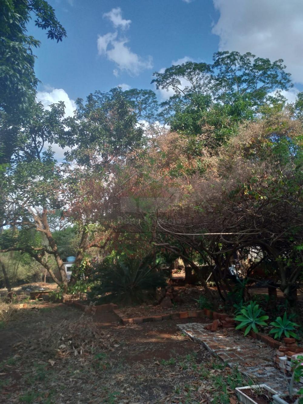 Comprar Rural / Ch&aacute;cara em Ribeir&atilde;o Preto R$ 500.000,00 - Foto 4