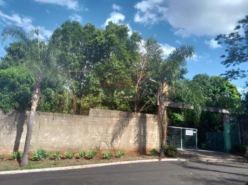 Comprar Rural / Ch&aacute;cara em Ribeir&atilde;o Preto R$ 500.000,00 - Foto 1