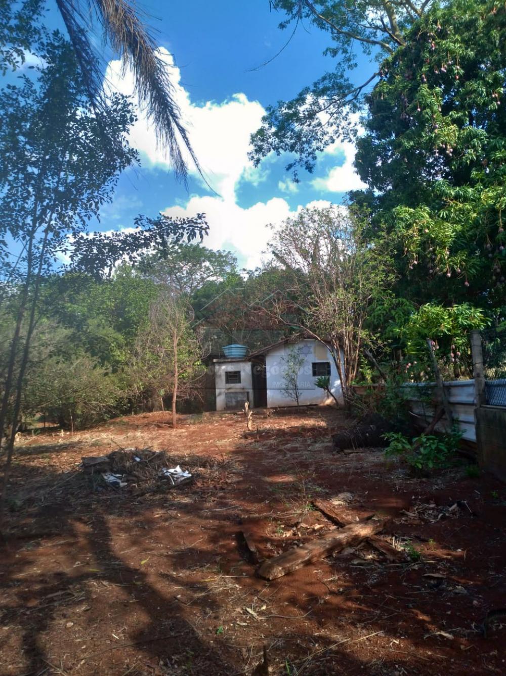 Comprar Rural / Ch&aacute;cara em Ribeir&atilde;o Preto R$ 500.000,00 - Foto 6
