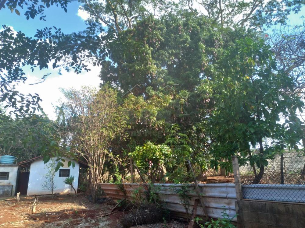 Comprar Rural / Ch&aacute;cara em Ribeir&atilde;o Preto R$ 500.000,00 - Foto 9