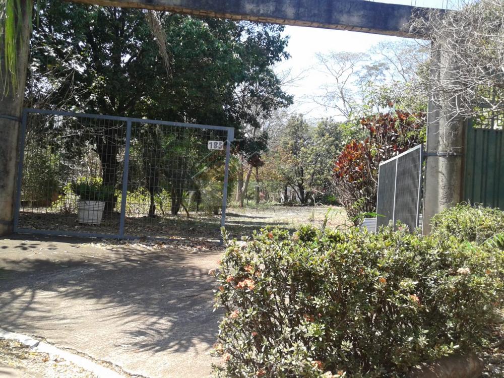Comprar Rural / Ch&aacute;cara em Ribeir&atilde;o Preto R$ 500.000,00 - Foto 3
