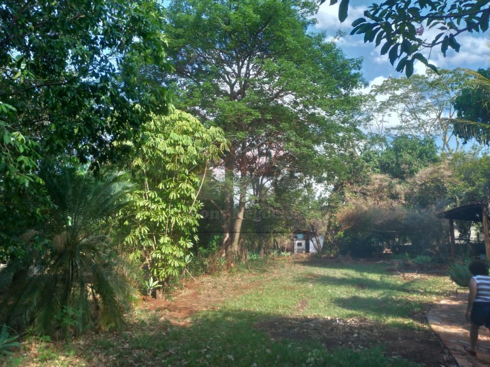 Comprar Rural / Ch&aacute;cara em Ribeir&atilde;o Preto R$ 500.000,00 - Foto 11