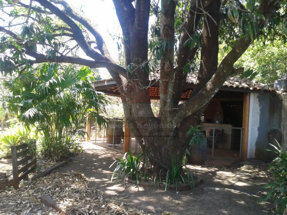 Comprar Rural / Ch&aacute;cara em Ribeir&atilde;o Preto R$ 500.000,00 - Foto 12