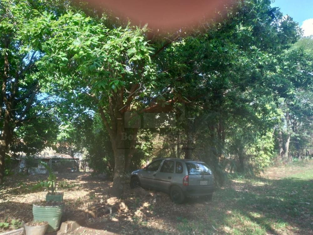 Comprar Rural / Ch&aacute;cara em Ribeir&atilde;o Preto R$ 500.000,00 - Foto 17