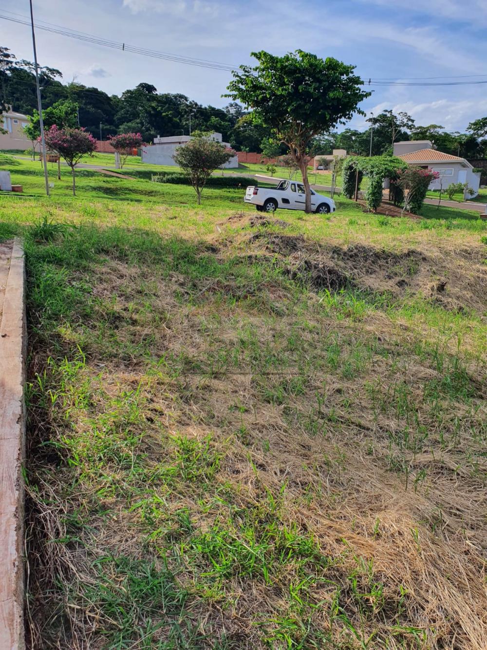 Comprar Terreno / Padr&atilde;o em Ribeir&atilde;o Preto R$ 210.000,00 - Foto 1