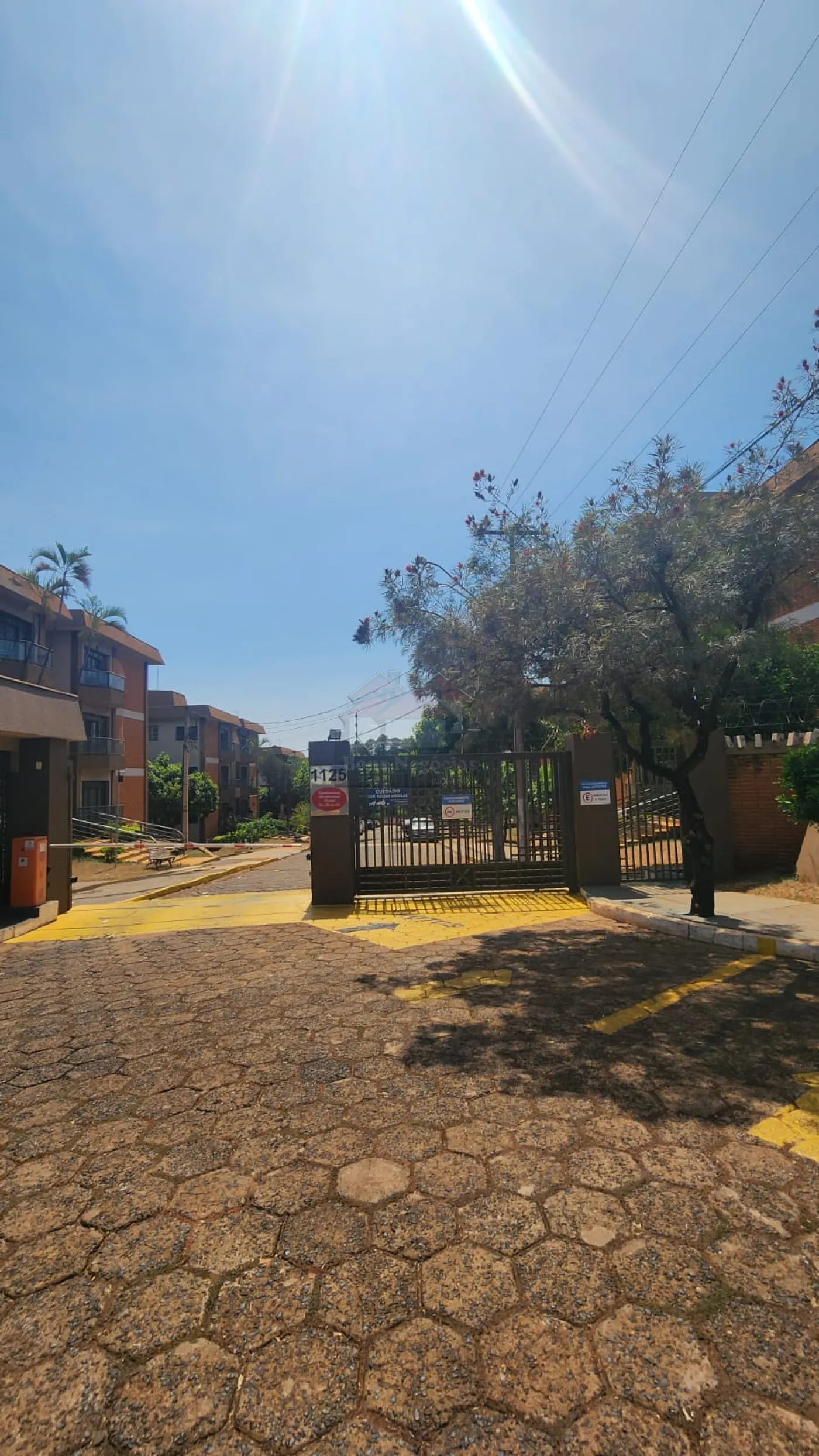 Alugar Apartamento / Padr&atilde;o em Ribeir&atilde;o Preto R$ 1.700,00 - Foto 1