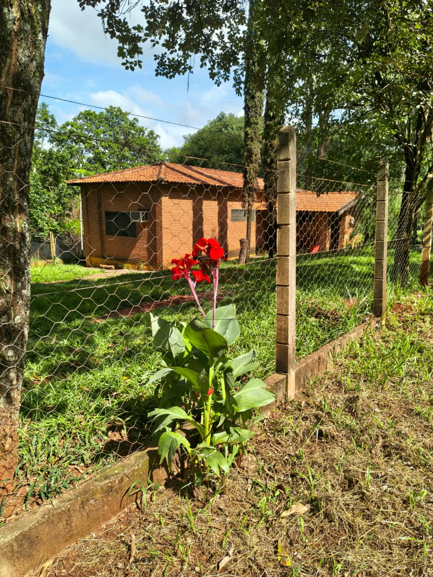 Comprar Rural / Ch&aacute;cara em Bonfim Paulista (Ribeir&atilde;o Preto) R$ 1.500.000,00 - Foto 9