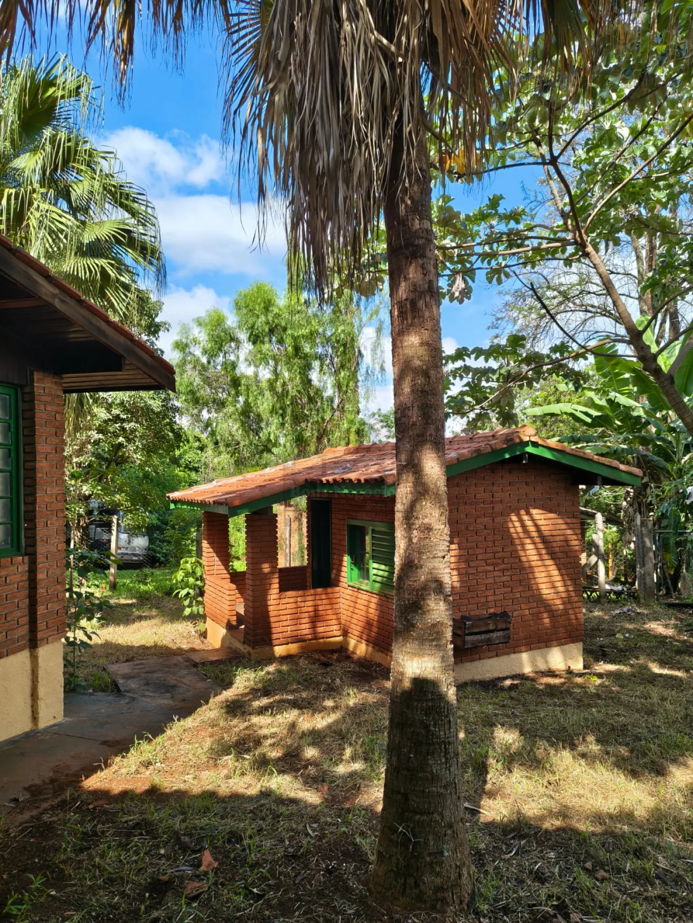 Comprar Rural / Ch&aacute;cara em Bonfim Paulista (Ribeir&atilde;o Preto) R$ 1.500.000,00 - Foto 11