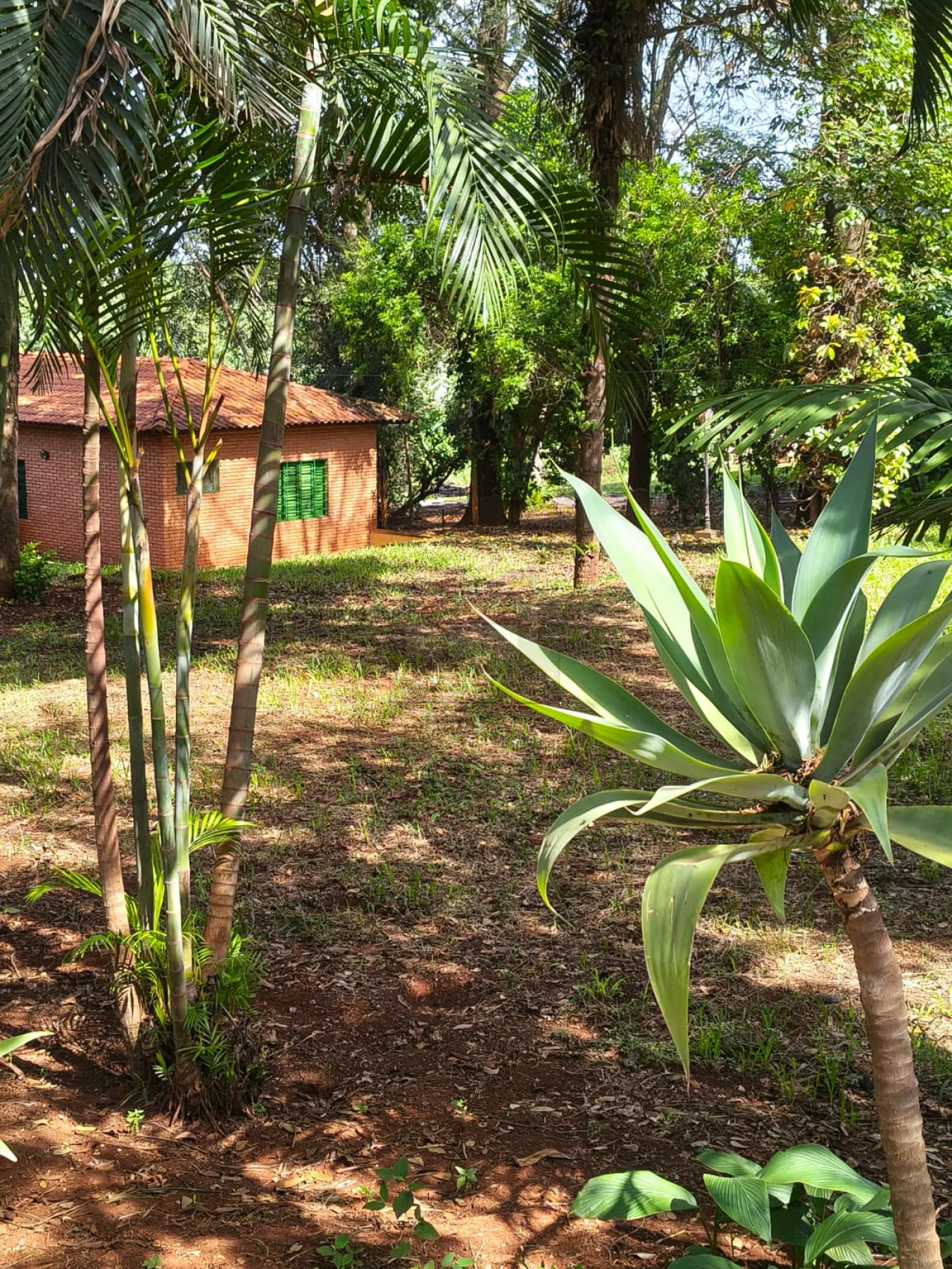 Comprar Rural / Ch&aacute;cara em Bonfim Paulista (Ribeir&atilde;o Preto) R$ 1.500.000,00 - Foto 12