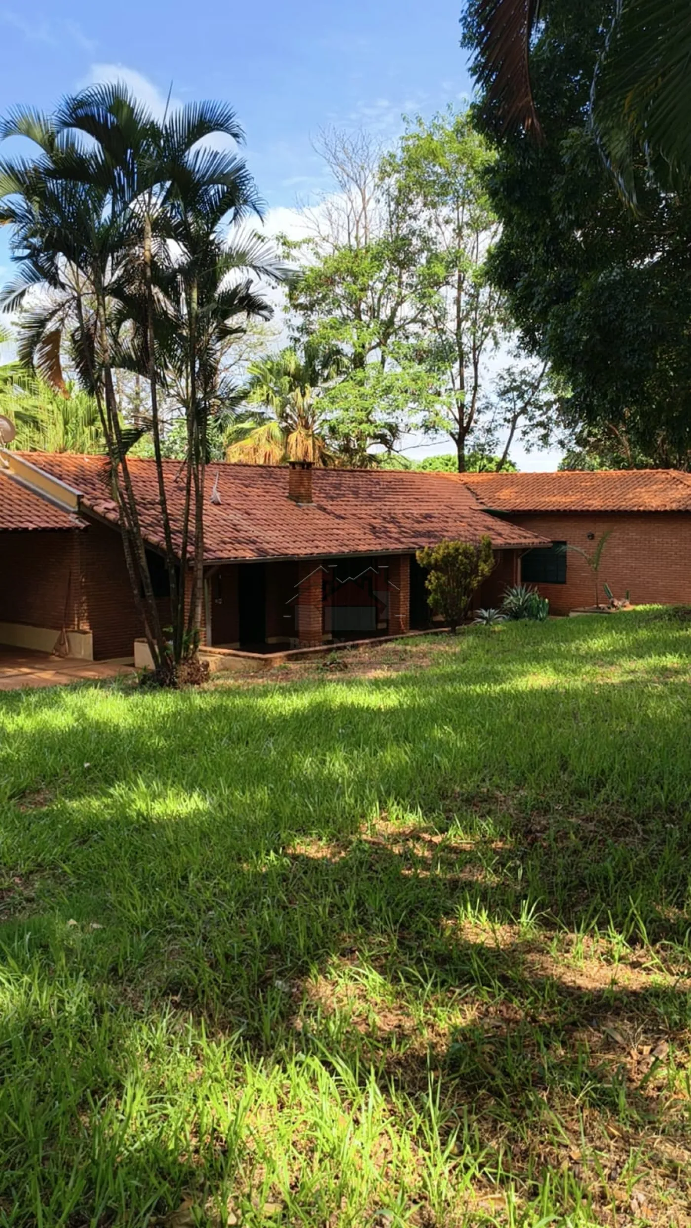Comprar Rural / Ch&aacute;cara em Bonfim Paulista (Ribeir&atilde;o Preto) R$ 1.500.000,00 - Foto 13
