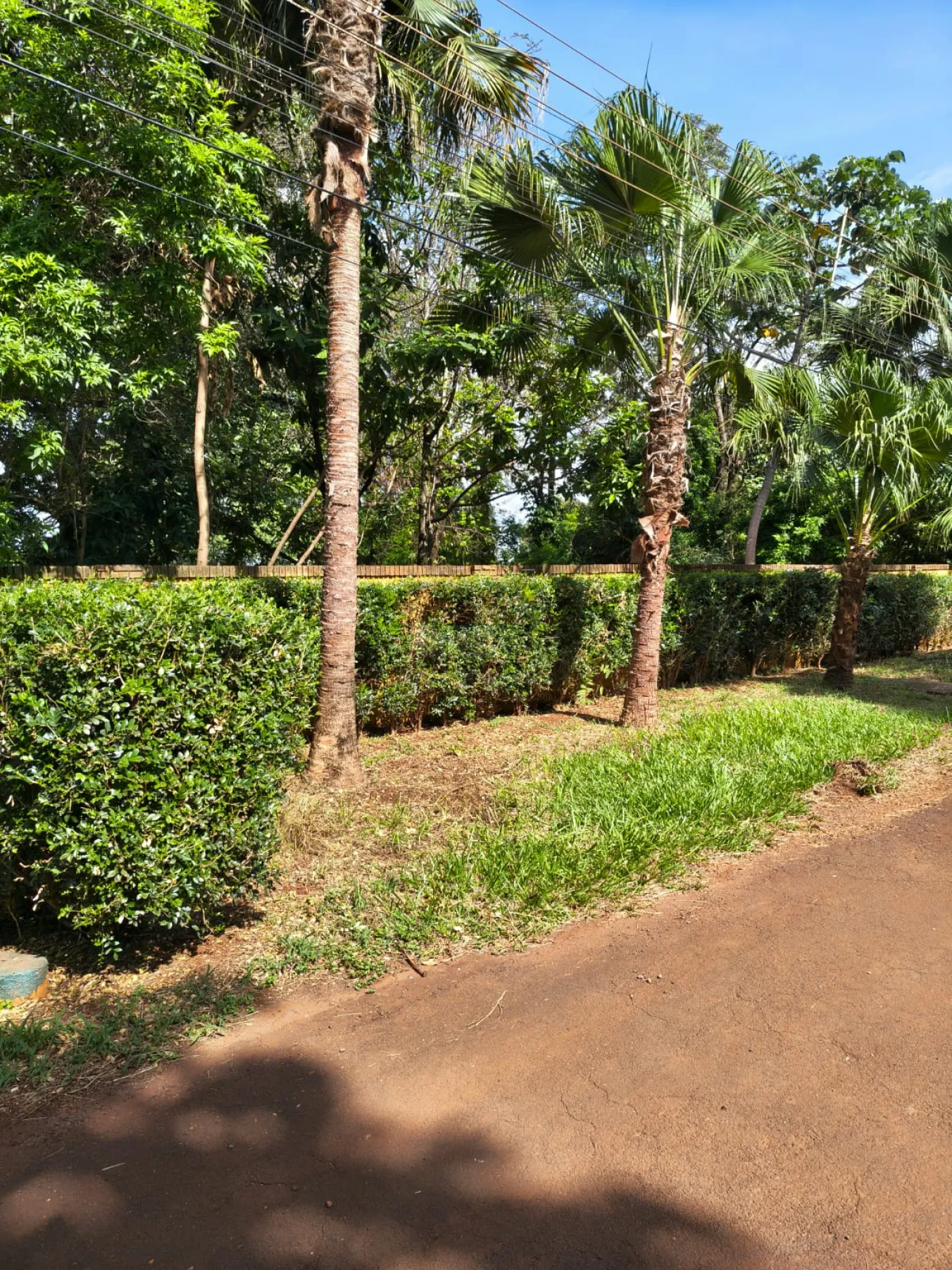 Comprar Rural / Ch&aacute;cara em Bonfim Paulista (Ribeir&atilde;o Preto) R$ 1.500.000,00 - Foto 16