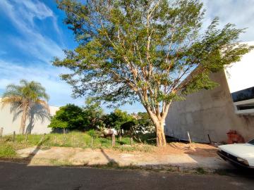 Marilia Alto Cafezal Terreno Venda R$300.000,00  Area do terreno 1142.00m2 