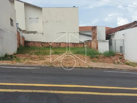 Marilia Alto Cafezal Terreno Venda R$400.000,00  2 Vagas Area do terreno 210.79m2 Area construida 120.00m2