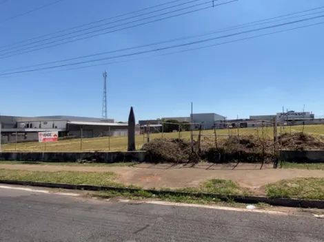 Marilia Centro (Lacio) Area Venda R$8.800.000,00  Area do terreno 11000.00m2 