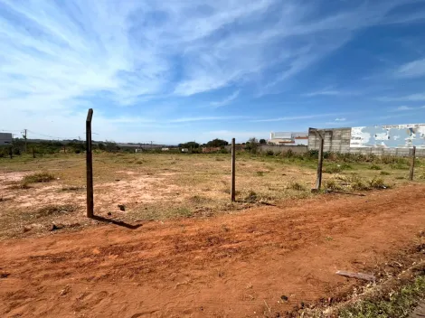 Marilia Distrito Industrial Santo Barion Area Venda R$1.957.000,00  Area do terreno 2301.91m2 