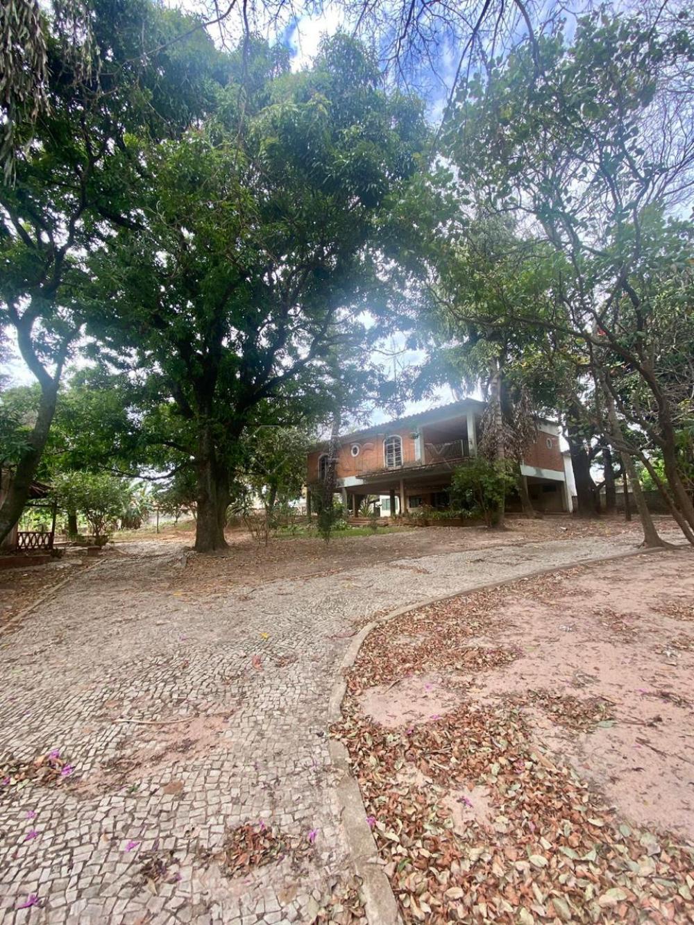 Alugar Rural / Ch&aacute;cara em Americana R$ 5.000,00 - Foto 2