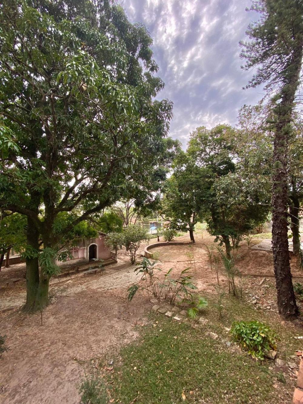 Alugar Rural / Ch&aacute;cara em Americana R$ 5.000,00 - Foto 3