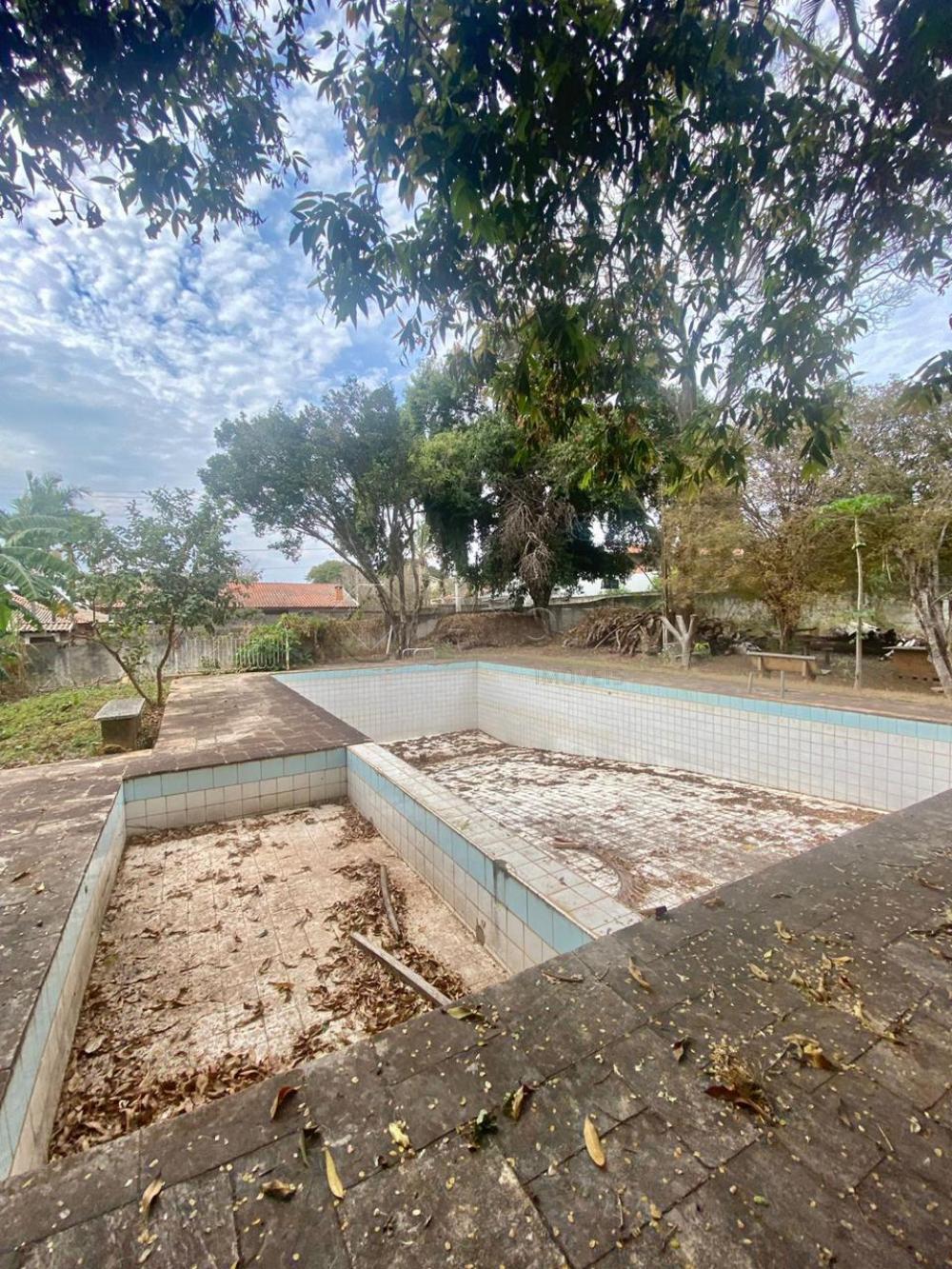 Alugar Rural / Ch&aacute;cara em Americana R$ 5.000,00 - Foto 5