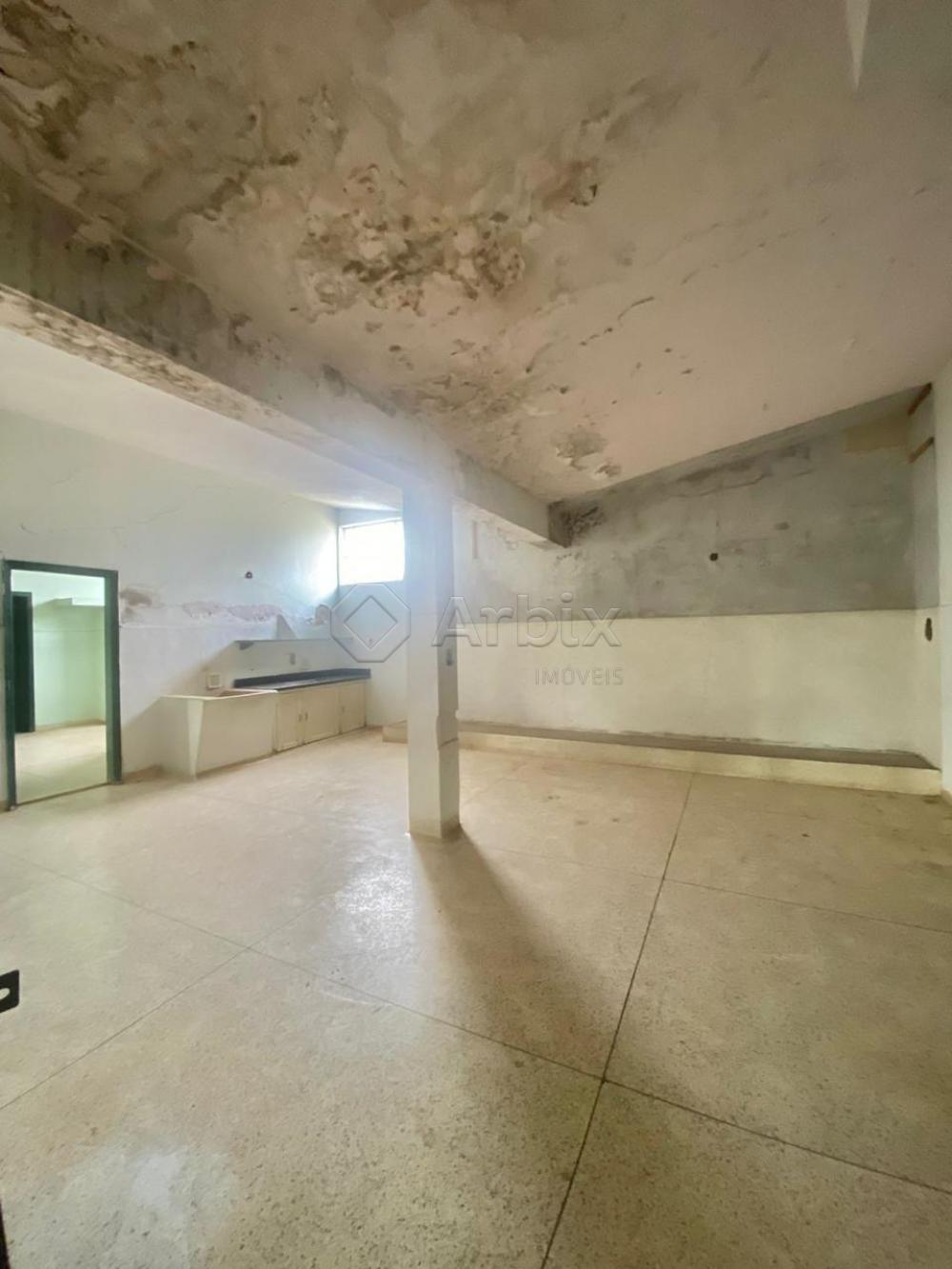 Alugar Rural / Ch&aacute;cara em Americana R$ 5.000,00 - Foto 8