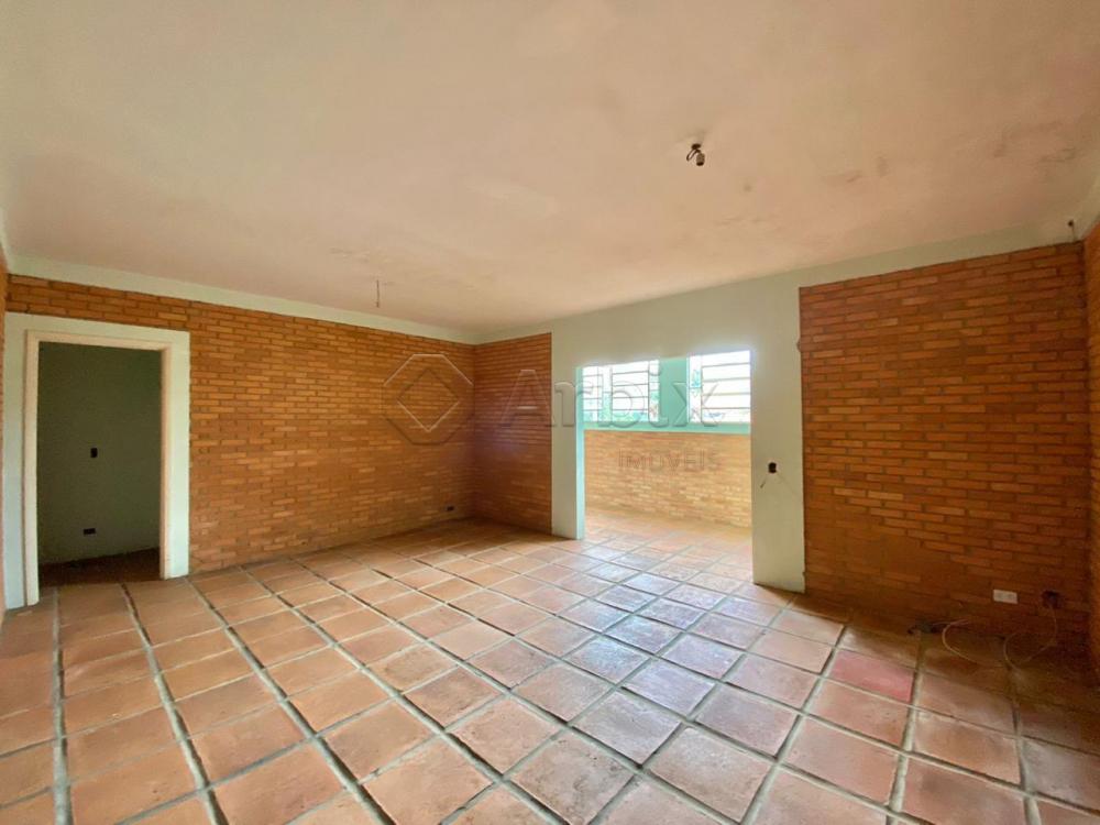 Alugar Rural / Ch&aacute;cara em Americana R$ 5.000,00 - Foto 14