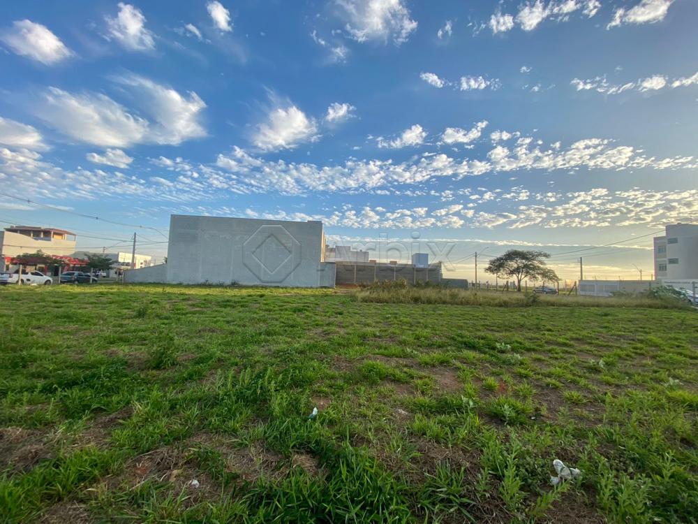 Alugar Terreno / Comercial em Americana R$ 8.500,00 - Foto 3