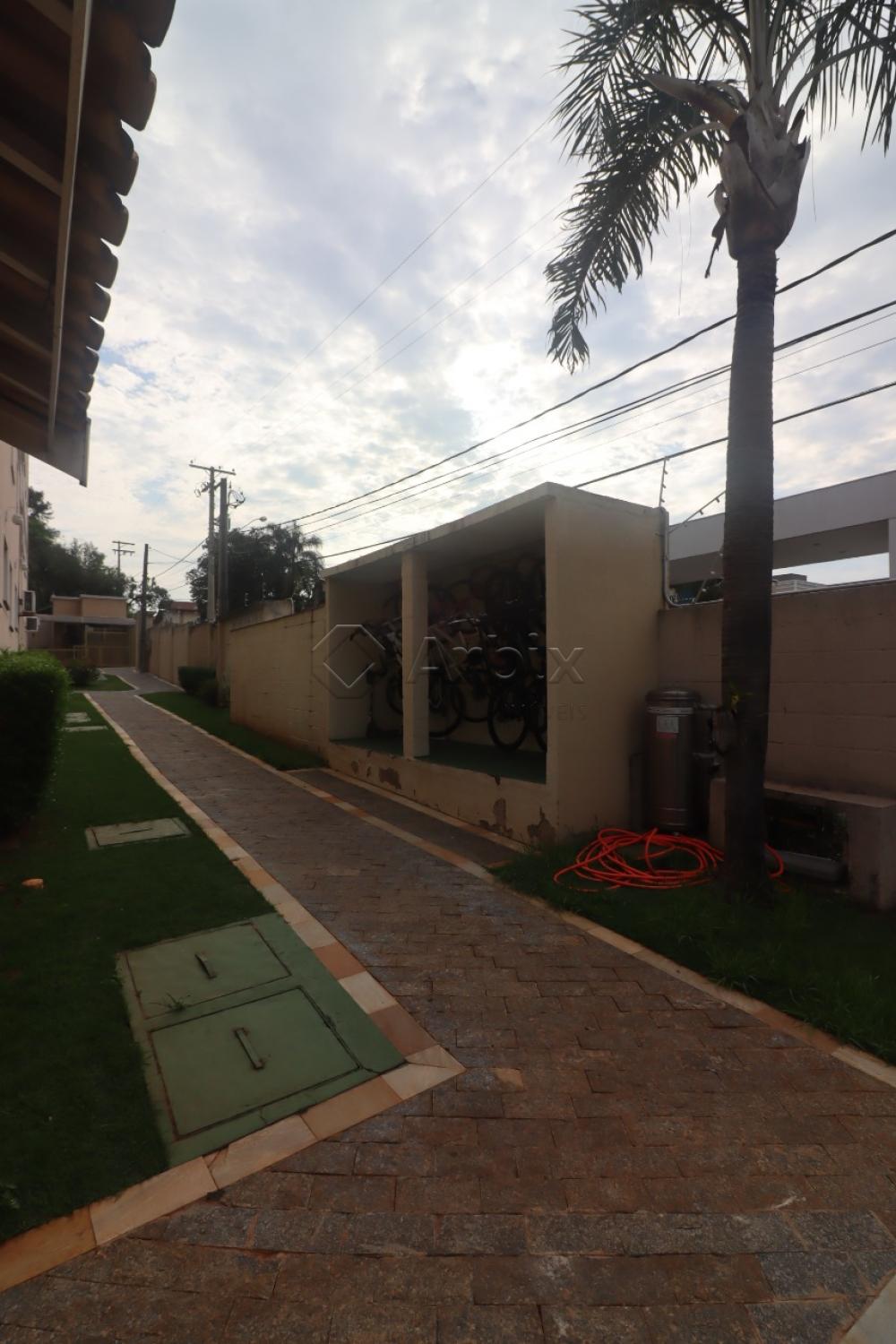Alugar Apartamento / Residencial em Americana R$ 1.500,00 - Foto 11