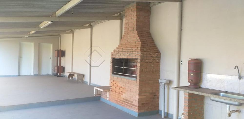 Comprar Rural / Ch&aacute;cara em Limeira R$ 800.000,00 - Foto 6